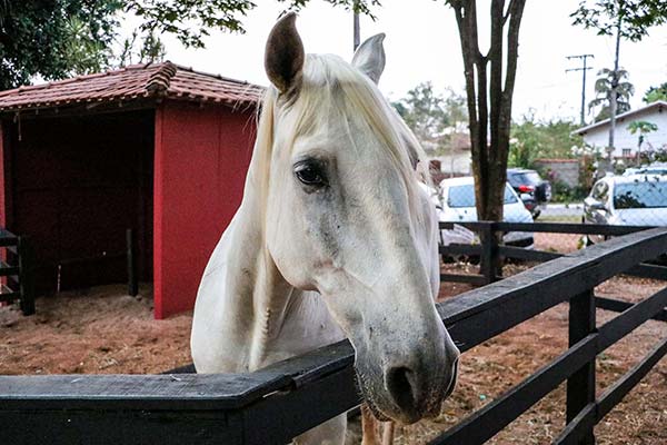 21092019-IMG_1775_WEB