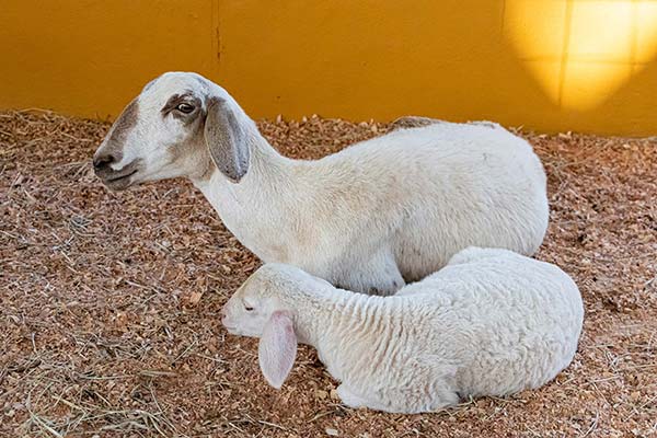 Copia-de-IMG_6156-1_WEB