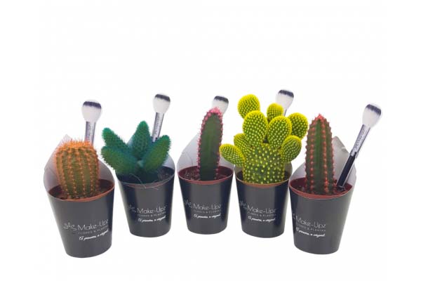 Cactus variado